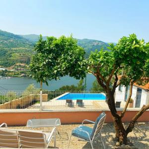 a group of chairs and a tree next to a swimming pool at Refúgio Douro abelhal in Santa Cruz do Douro