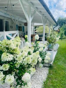 un ramo de flores blancas en un patio en Domek holenderski Hampton en Dominice
