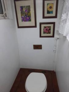 a white toilet in a bathroom with pictures on the wall at Off grid Rosie Sheperd hut and summerhouse plus 1 acre at Tanyrallt in Llanybyther