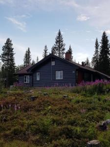 a house on a hill with flowers in front of it at Trysil Fageråsen - Ski in/out in Trysil