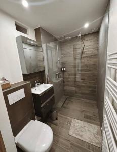 a bathroom with a toilet and a sink and a shower at Charmant duplex proche Paris in Saint-Maurice