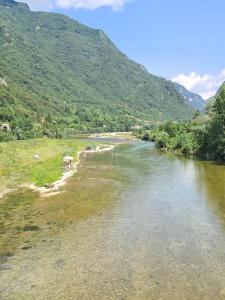 Santa Maria的住宿－Incantevole appartamento in riva al Piave，河里河里有很多动物