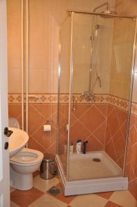 a bathroom with a shower and a toilet at Marko's Place Apartment in Skopje +2 photos
