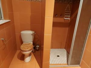 a small bathroom with a toilet and a shower at KLOOFIES GUESTHOUSE in Roodepoort