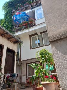 a building with potted plants on a balcony at Kosta House in Ohrid