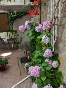 un mazzo di fiori rosa sul lato di un edificio di Kosta House a Ohrid