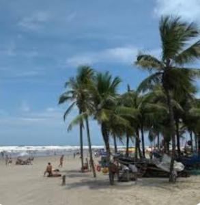 a beach with palm trees and people on the sand at Apartamento aconchegante in Praia Grande