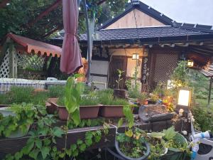 un jardín con macetas frente a una casa en Gugangjae Hanok Stay en Jeonju