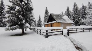 a snow covered cabin with two benches and a tree at Triglav Cottage in Bohinj