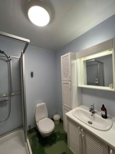 a bathroom with a toilet and a sink and a mirror at Cozy apartment in Seydisfjordur in Seyðisfjörður