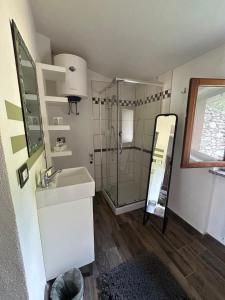 a bathroom with a shower and a sink and a mirror at LA TANA Guest House in Dronero