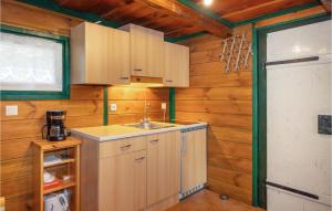 eine Küche mit Holzwänden, einem Waschbecken und einer Tür in der Unterkunft Amazing Home In Deutsch Schtzen With 1 Bedrooms in Deutschschützen