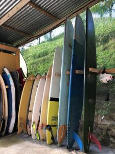 a bunch of surfboards lined up in a rack at Ocean View rustic cabin in the jungle by the surf in Pavones