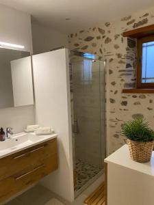 a bathroom with a shower and a sink and a toilet at Domaine des pierres trouvées in Saint-Vincent