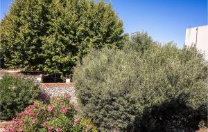 un grupo de árboles y flores en un jardín en Amazing Apartment In Marignane With Wifi, en Marignane