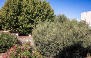 a group of trees and flowers in a garden at Stunning Apartment In Marignane With Wifi And 1 Bedrooms in Marignane