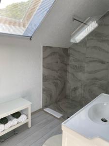 ein weißes Bad mit einem Waschbecken und einer Dusche in der Unterkunft Silvan Villa - Apart in Sighişoara