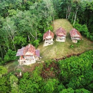 una vista aérea de una casa en una colina con árboles en LOVELY JUNGLE LODGE & JUNGLE TREKING only book with us, en Bukit Lawang