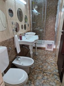 a bathroom with a sink and a toilet and a shower at Vila Sara in Chişoda