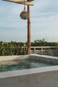 una piscina profunda con una cesta colgante y agua en Teva Tulum, Aldea Zamá, en Tulum