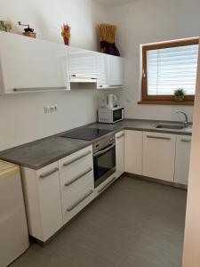Kuchyň nebo kuchyňský kout v ubytování Apartmán Hustopeče