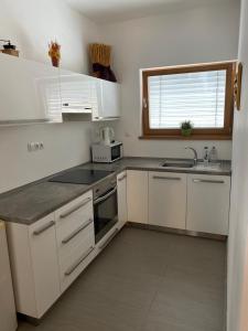 Kuchyň nebo kuchyňský kout v ubytování Apartmán Hustopeče