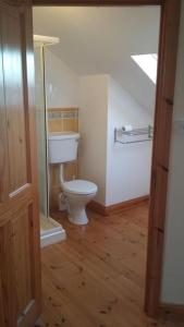 a bathroom with a toilet in a room at Three Sisters Holiday Home - 7km to Dingle in Ballyferriter