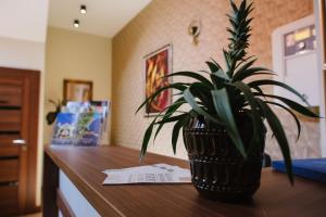 Imagine din galeria proprietății AVIOR Garni Hotel în Subotica