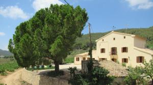 a house and a tree in front of a road at Casa Rural Cal Martí in El Pla de Manlleu