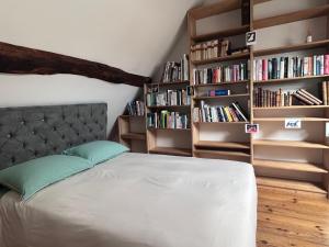 - une chambre avec un lit et des étagères avec des livres dans l'établissement COSY POTET, à Dijon