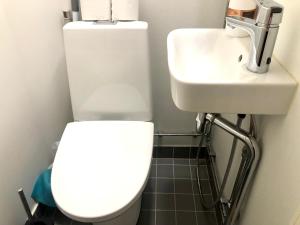 La salle de bains est pourvue de toilettes et d'un lavabo. dans l'établissement Sweethome Studio 49 in City Center Punavuori district, à Helsinki