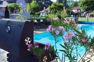 a computer sitting next to a pool with flowers at Vila Ljubica in Vrnjačka Banja