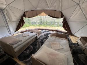NarynにあるTenir-Too Glampingの窓付きのテント内のベッド1台