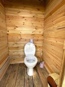 NarynにあるTenir-Too Glampingの木製の部屋のバスルーム(トイレ付)