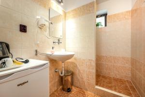 y baño con lavabo y ducha. en Penzion a kemp Koruna, en Zlatá Koruna