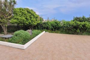 un patio avec un banc et quelques buissons et arbres dans l'établissement Casa Eoliana, à Lipari