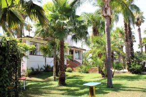 einen Hof mit Palmen und einem Haus in der Unterkunft Tropical Garden in Lequile