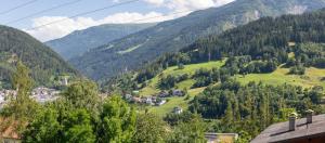 a view of a green valley with houses and mountains at Chill Out Apartments in Landeck