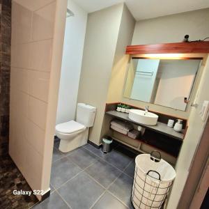 La salle de bains est pourvue de toilettes, d'un lavabo et d'un miroir. dans l'établissement Studio Leu Loft, à Saint-Leu