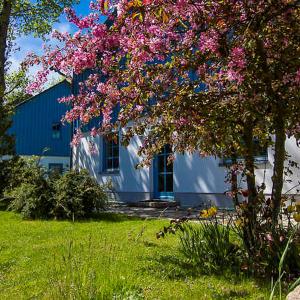 een boom met roze bloemen voor een huis bij Blinkfüer am Kap Arkona in Putgarten