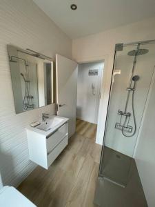 a bathroom with a sink and a shower and a mirror at Apartamento Las Vistas in Teruel