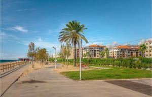 a palm tree in a park next to the ocean at Amazing Apartment In Pineda De Mar With Wifi in Pineda de Mar
