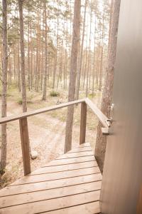 Peisaj natural din apropierea acestei cabane