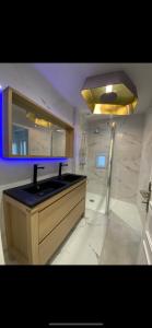 een badkamer met een wastafel en een spiegel bij Saint Palais sur mer Piscine in Breuillet
