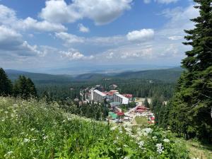 a view of a town from a hill with trees at Арборо Боровец Гардънс Д35 in Borovets