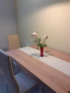 Fotografie z fotogalerie ubytování Ferienwohnung am Kurpark, Gailingen v destinaci Gailingen
