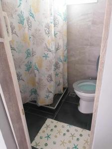 a bathroom with a toilet and a shower curtain at Central City Kristalli studio in Thessaloniki