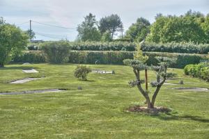 a small tree in the middle of a field at Mobil-home terrasse couverte in Plouézec