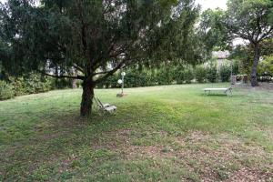 un parque con dos bancos bajo un árbol en Podere Mona, en Pomarance