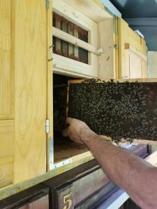 a man is reaching into a beehive in a cupboard at Farm Stay Pri Cepčovih in Golac